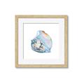 Picture of Watercolor shell I _GroupedProduct_Square_Framed_Matted_