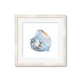 Picture of Watercolor shell I _GroupedProduct_Square_Framed_Matted_