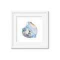 Picture of Watercolor shell I _GroupedProduct_Square_Framed_Matted_