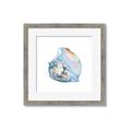 Picture of Watercolor shell I _GroupedProduct_Square_Framed_Matted_