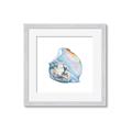 Picture of Watercolor shell I _GroupedProduct_Square_Framed_Matted_