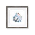 Picture of Watercolor shell I _GroupedProduct_Square_Framed_Matted_