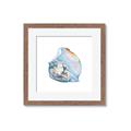 Picture of Watercolor shell I _GroupedProduct_Square_Framed_Matted_