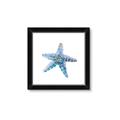 Picture of Watercolor shell II _GroupedProduct_Square_Framed_Matted_