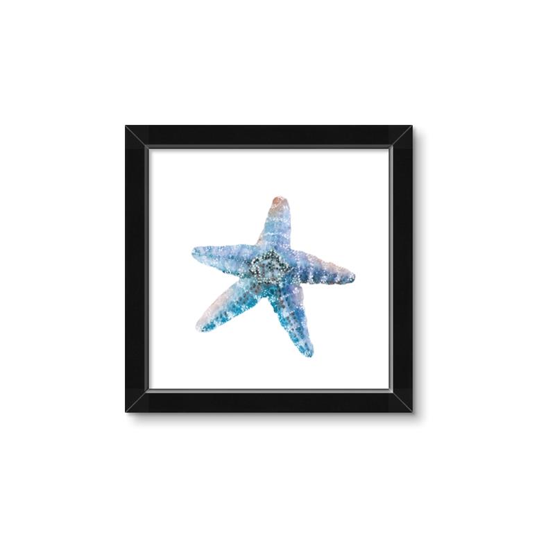 Picture of Watercolor shell II _GroupedProduct_Square_Framed_Matted_