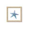 Picture of Watercolor shell II _GroupedProduct_Square_Framed_Matted_