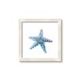 Picture of Watercolor shell II _GroupedProduct_Square_Framed_Matted_