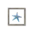 Picture of Watercolor shell II _GroupedProduct_Square_Framed_Matted_