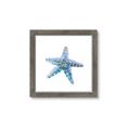 Picture of Watercolor shell II _GroupedProduct_Square_Framed_Matted_