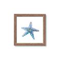 Picture of Watercolor shell II _GroupedProduct_Square_Framed_Matted_