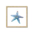 Picture of Watercolor shell II _GroupedProduct_Square_Framed_Matted_