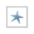 Picture of Watercolor shell II _GroupedProduct_Square_Framed_Matted_