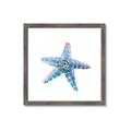 Picture of Watercolor shell II _GroupedProduct_Square_Framed_Matted_