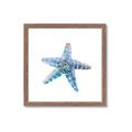 Picture of Watercolor shell II _GroupedProduct_Square_Framed_Matted_