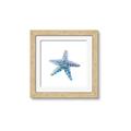 Picture of Watercolor shell II _GroupedProduct_Square_Framed_Matted_