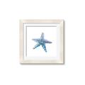 Picture of Watercolor shell II _GroupedProduct_Square_Framed_Matted_