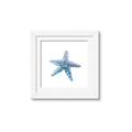 Picture of Watercolor shell II _GroupedProduct_Square_Framed_Matted_