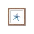 Picture of Watercolor shell II _GroupedProduct_Square_Framed_Matted_
