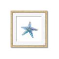 Picture of Watercolor shell II _GroupedProduct_Square_Framed_Matted_