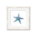Picture of Watercolor shell II _GroupedProduct_Square_Framed_Matted_