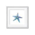 Picture of Watercolor shell II _GroupedProduct_Square_Framed_Matted_