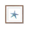 Picture of Watercolor shell II _GroupedProduct_Square_Framed_Matted_