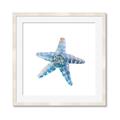 Picture of Watercolor shell II _GroupedProduct_Square_Framed_Matted_