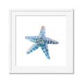 Picture of Watercolor shell II _GroupedProduct_Square_Framed_Matted_