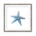 Picture of Watercolor shell II _GroupedProduct_Square_Framed_Matted_