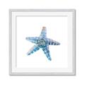 Picture of Watercolor shell II _GroupedProduct_Square_Framed_Matted_