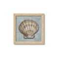 Picture of Vintage Shell I  _GroupedProduct_Square_Framed_Matted_