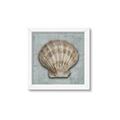 Picture of Vintage Shell I  _GroupedProduct_Square_Framed_Matted_