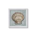 Picture of Vintage Shell I  _GroupedProduct_Square_Framed_Matted_