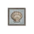 Picture of Vintage Shell I  _GroupedProduct_Square_Framed_Matted_