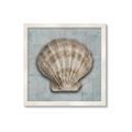 Picture of Vintage Shell I  _GroupedProduct_Square_Framed_Matted_