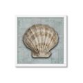 Picture of Vintage Shell I  _GroupedProduct_Square_Framed_Matted_