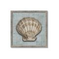 Picture of Vintage Shell I  _GroupedProduct_Square_Framed_Matted_