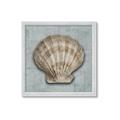 Picture of Vintage Shell I  _GroupedProduct_Square_Framed_Matted_