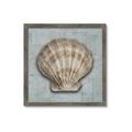 Picture of Vintage Shell I  _GroupedProduct_Square_Framed_Matted_