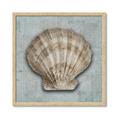Picture of Vintage Shell I  _GroupedProduct_Square_Framed_Matted_