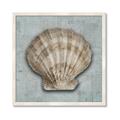 Picture of Vintage Shell I  _GroupedProduct_Square_Framed_Matted_