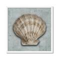 Picture of Vintage Shell I  _GroupedProduct_Square_Framed_Matted_