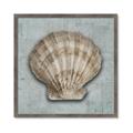 Picture of Vintage Shell I  _GroupedProduct_Square_Framed_Matted_