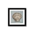 Picture of Vintage Shell I  _GroupedProduct_Square_Framed_Matted_