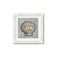 Picture of Vintage Shell I  _GroupedProduct_Square_Framed_Matted_