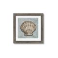 Picture of Vintage Shell I  _GroupedProduct_Square_Framed_Matted_