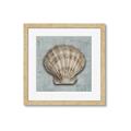 Picture of Vintage Shell I  _GroupedProduct_Square_Framed_Matted_