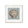 Picture of Vintage Shell I  _GroupedProduct_Square_Framed_Matted_