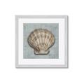Picture of Vintage Shell I  _GroupedProduct_Square_Framed_Matted_