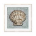 Picture of Vintage Shell I  _GroupedProduct_Square_Framed_Matted_